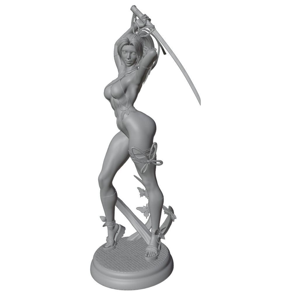 1/24 Female 	Warrior Resin Mod - 3D Printing Article 评论和价格