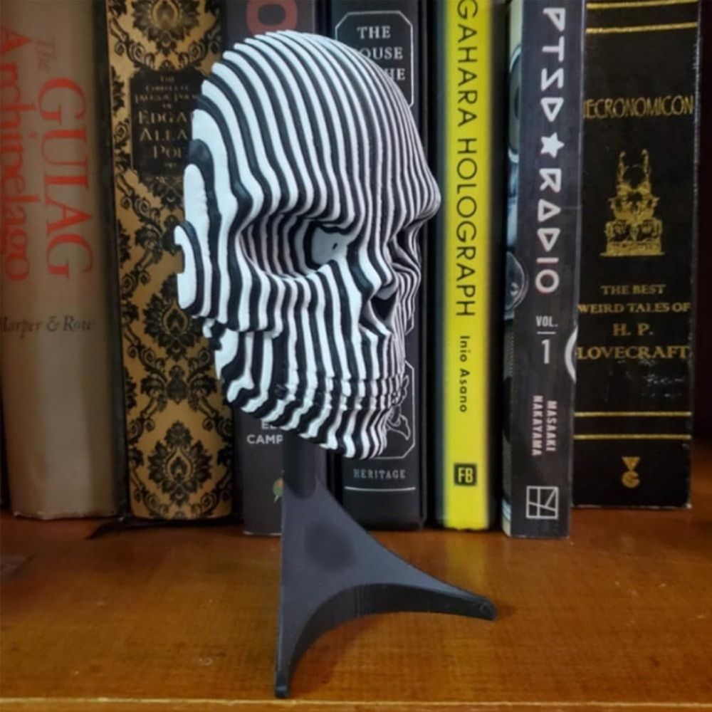 Visual Illusion 3D Printing Sk - 3D Printing Yourself 评论和价格