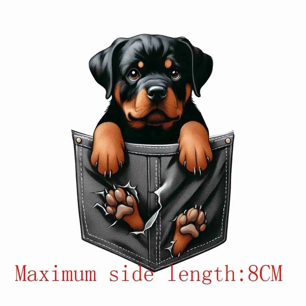 8cm New Pocket Dog Animals Iro - 3D Printing Vinyl 评论和价格