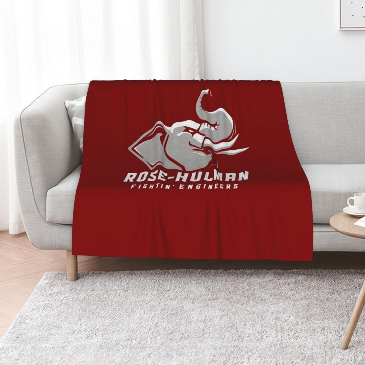 The Rose Hulman Fightin' Engin - 3D Printing Engineer 评论和价格