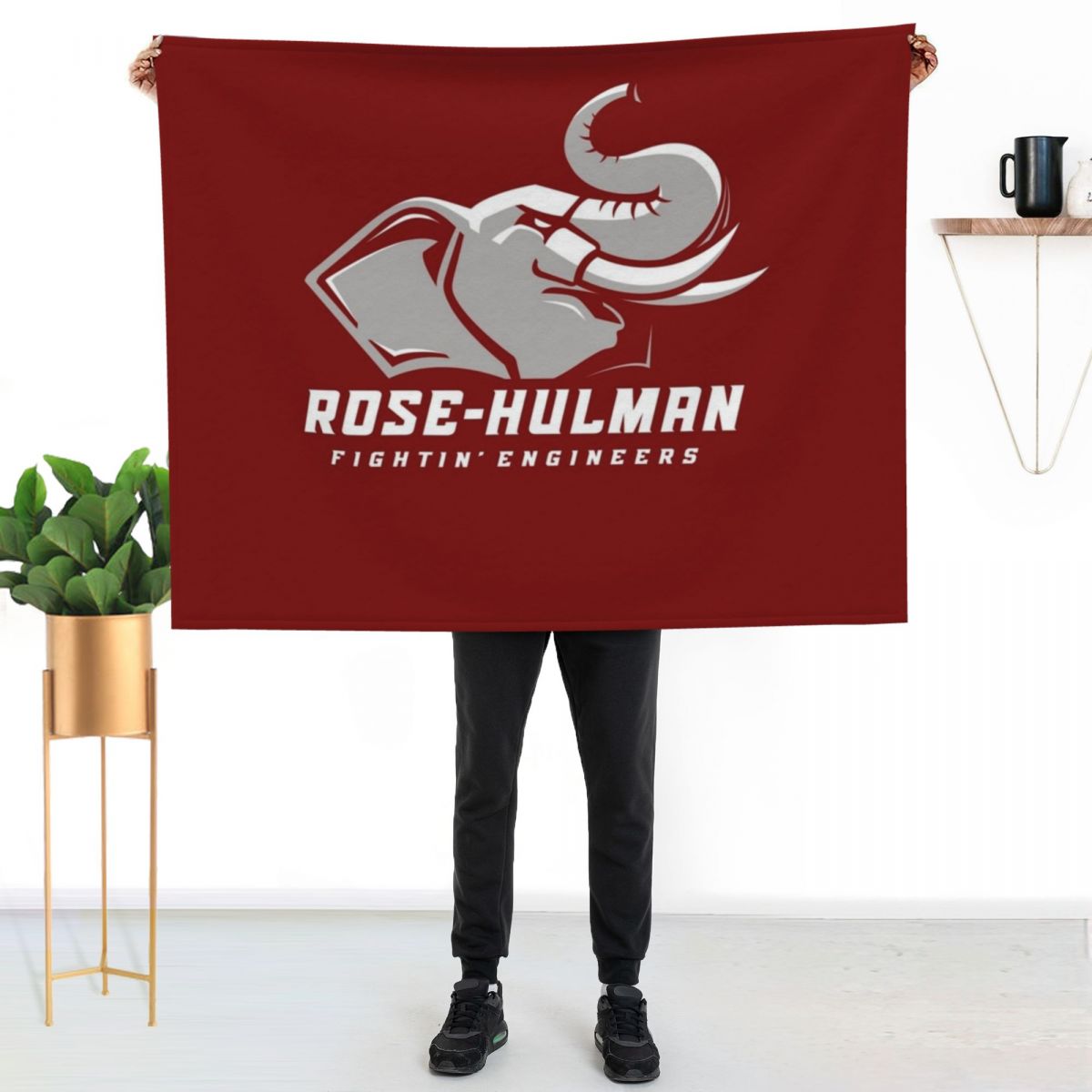 The Rose Hulman Fightin' Engin - 3D Printing Engineer 评论和价格